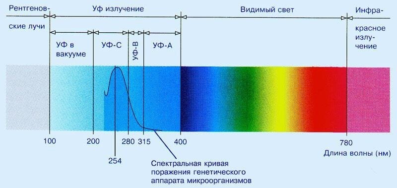 График эффективности УФ излучения для поражения микроорганизмов. Яндекс.Картинки