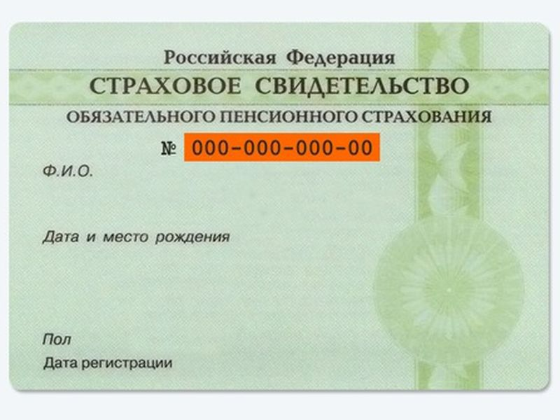 Как выглядит снилс для ребенка нового образца фото