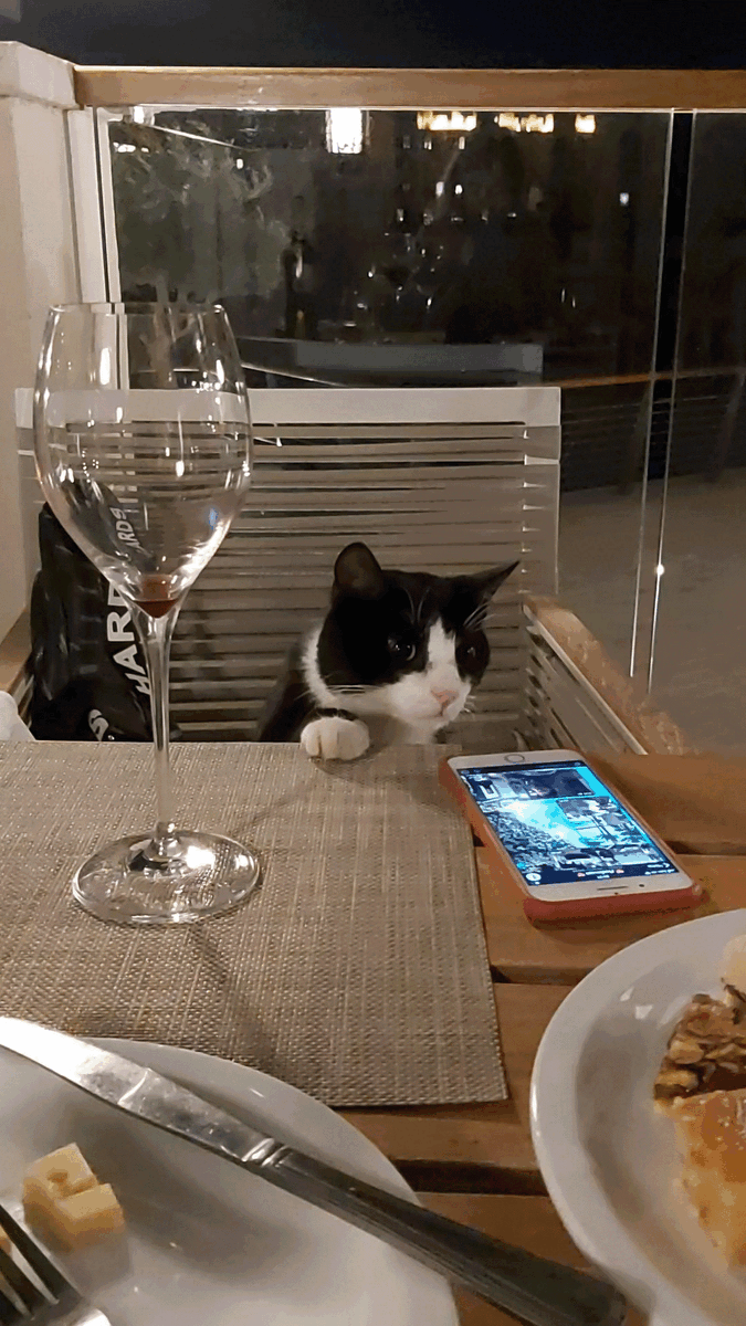 представитель местной банды