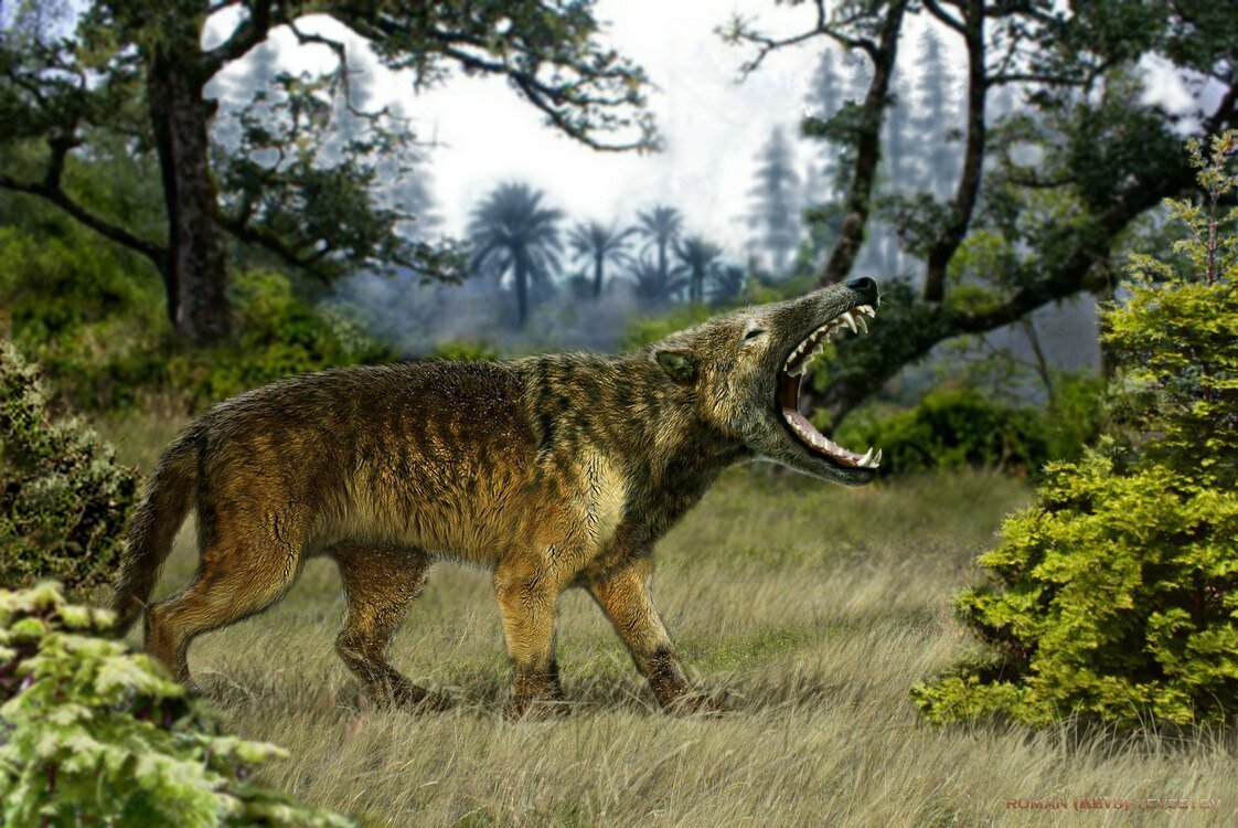 Изображение с сайта Яндекс Картинки