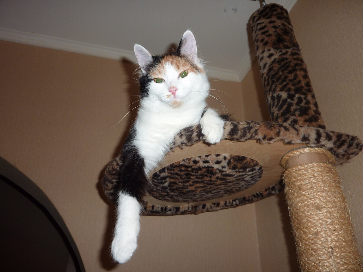 Блондинка Сашка: Ну и что что птичка? А чо она как эта?