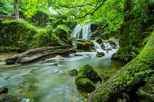 Здесь речка, горы, водопады, Колхидский лес дарит прохладу.