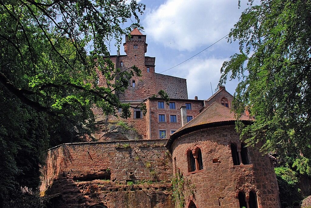 Фото из открытых источников