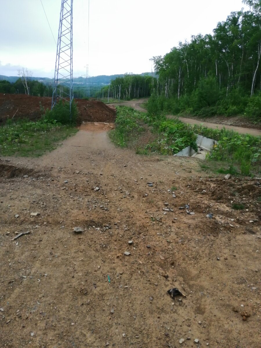 Бегаем туда на тренеровку