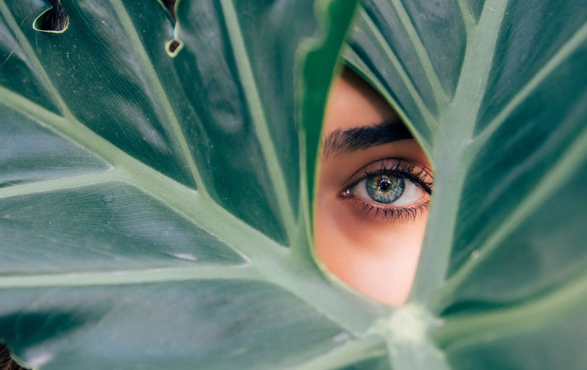 фото: unsplash 