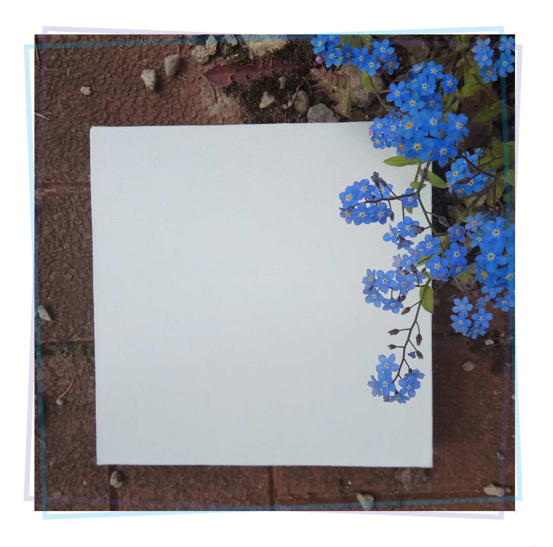 Чистый холст, начало пути