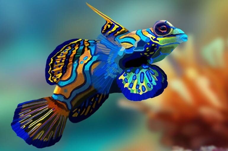 Эта цветастая рыбка названа так потому, что ее цветовая гамма напоминает расцветку одежды китайских чиновников имперских времен. Эта шестисантиметровая кроха обитает в юго-западных водах Тихого океана и питается мелкими раками и креветками.