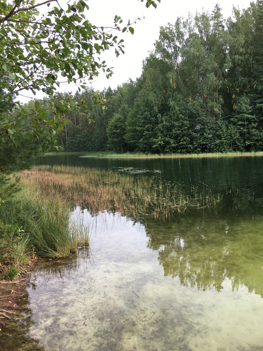 Выражаю благодарность за предоставленные фото Наталье Т.