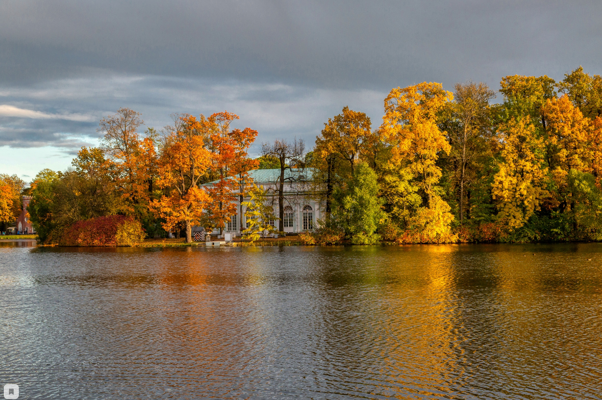 Фото Александра Дроздова