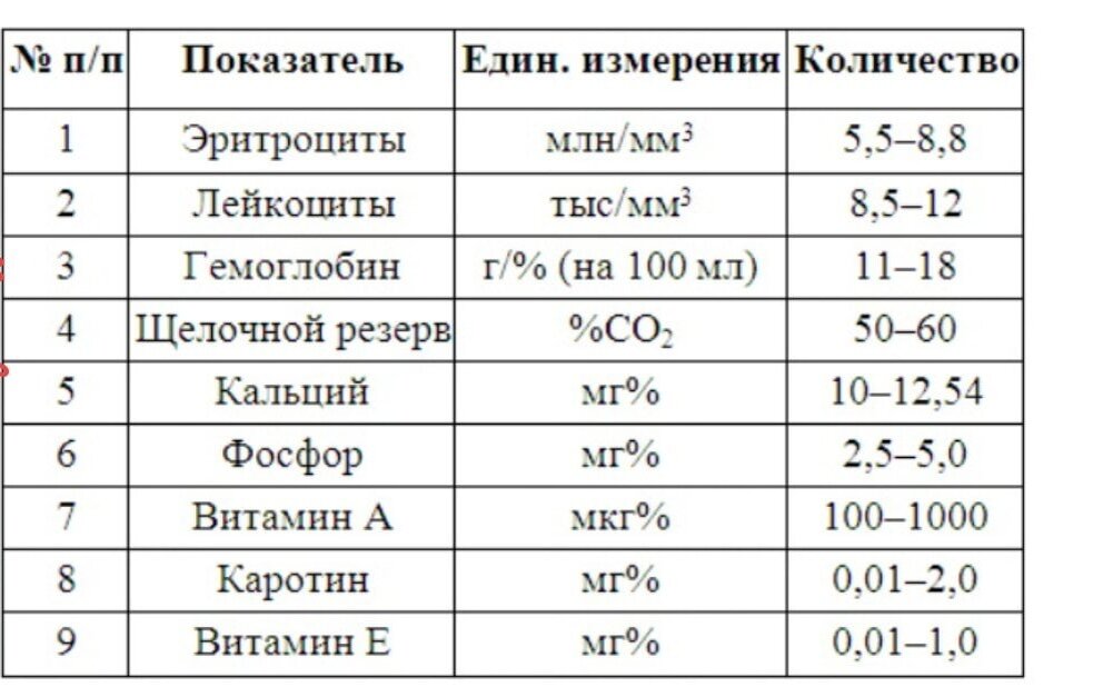 Нормы показателей у собак. Нормы показателей у собак. Нормы показателей у собак. Нормы показателей у собак. Нормы показателей у собак.