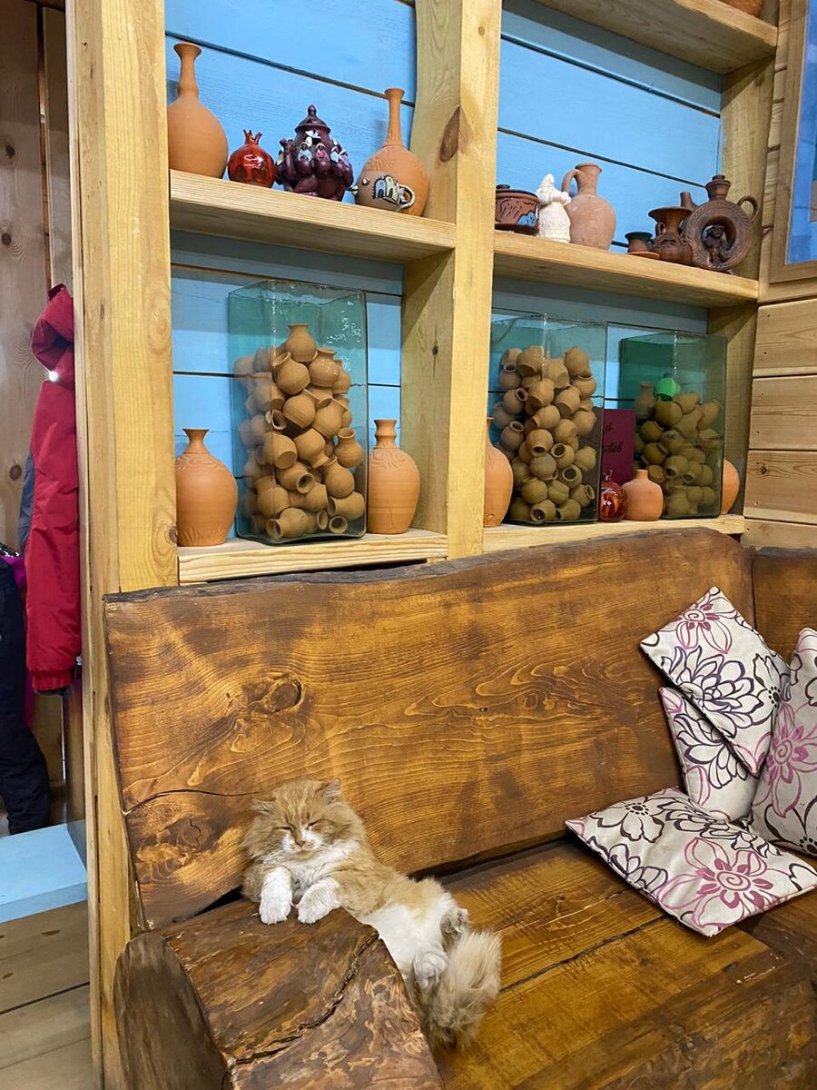 Рыжий кот встречает детей - каждый маленький посетитель гончарной мастерской норовит его погладить 