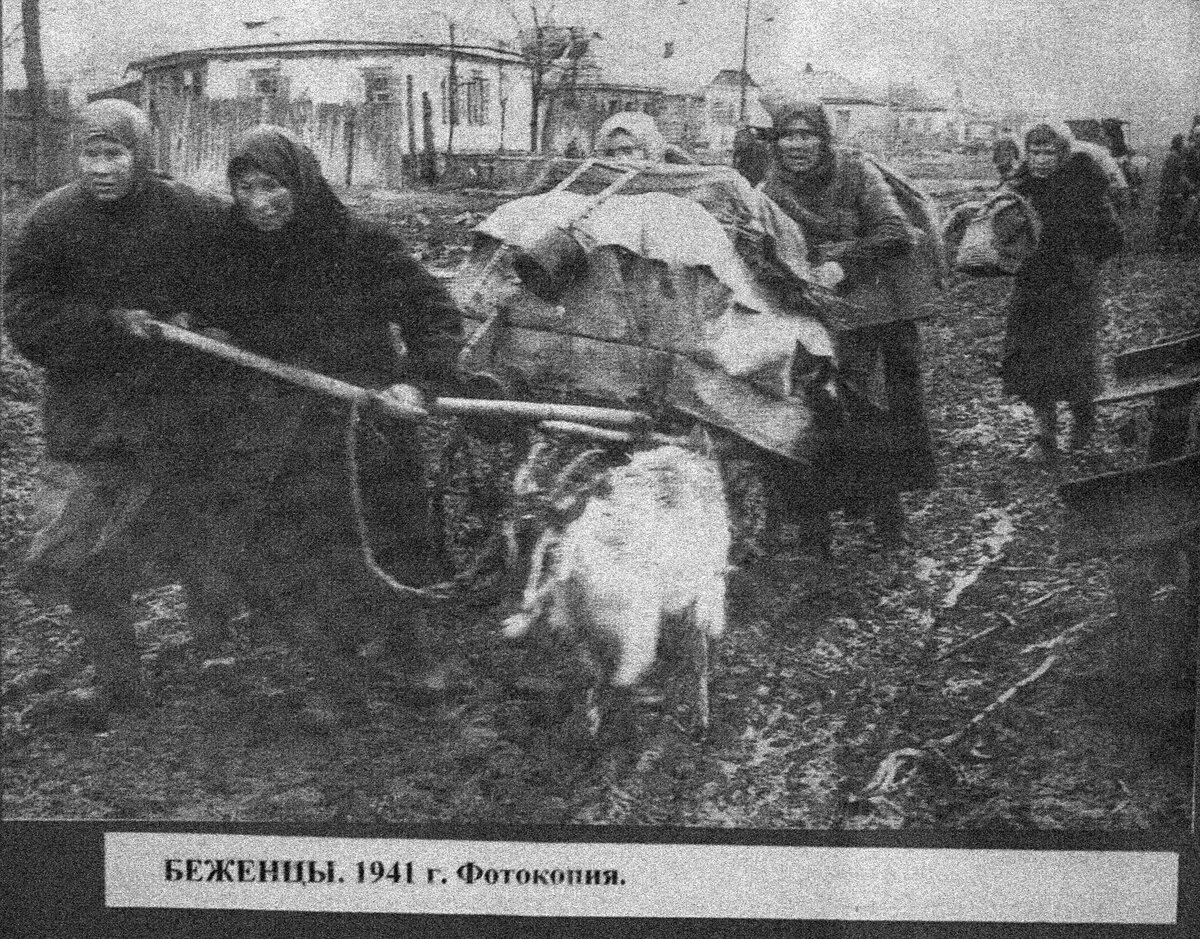 Выжить в оккупации. Беженцы из Истры.