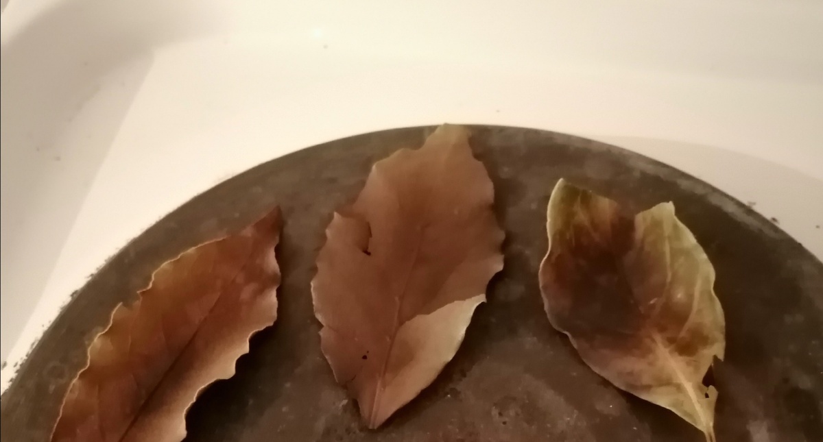 Поджигаю лавровый лист... 