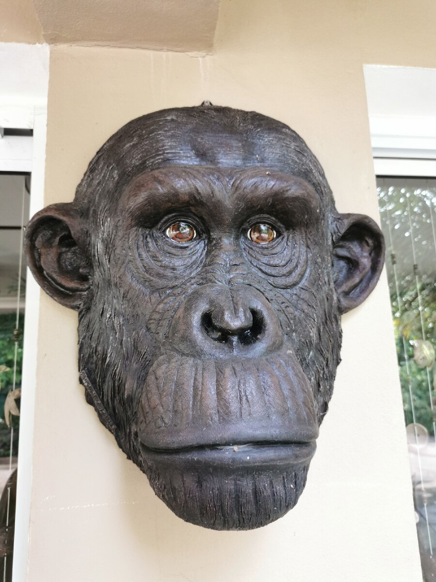 вывеска перед входом в музей