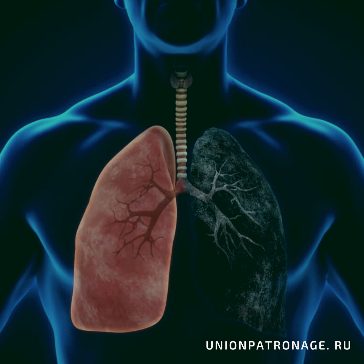 Фото взято из открытых источников 