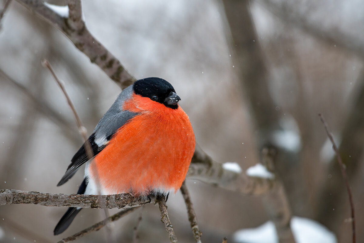 "А мимо в этот момент пролетала целая жизнь..."