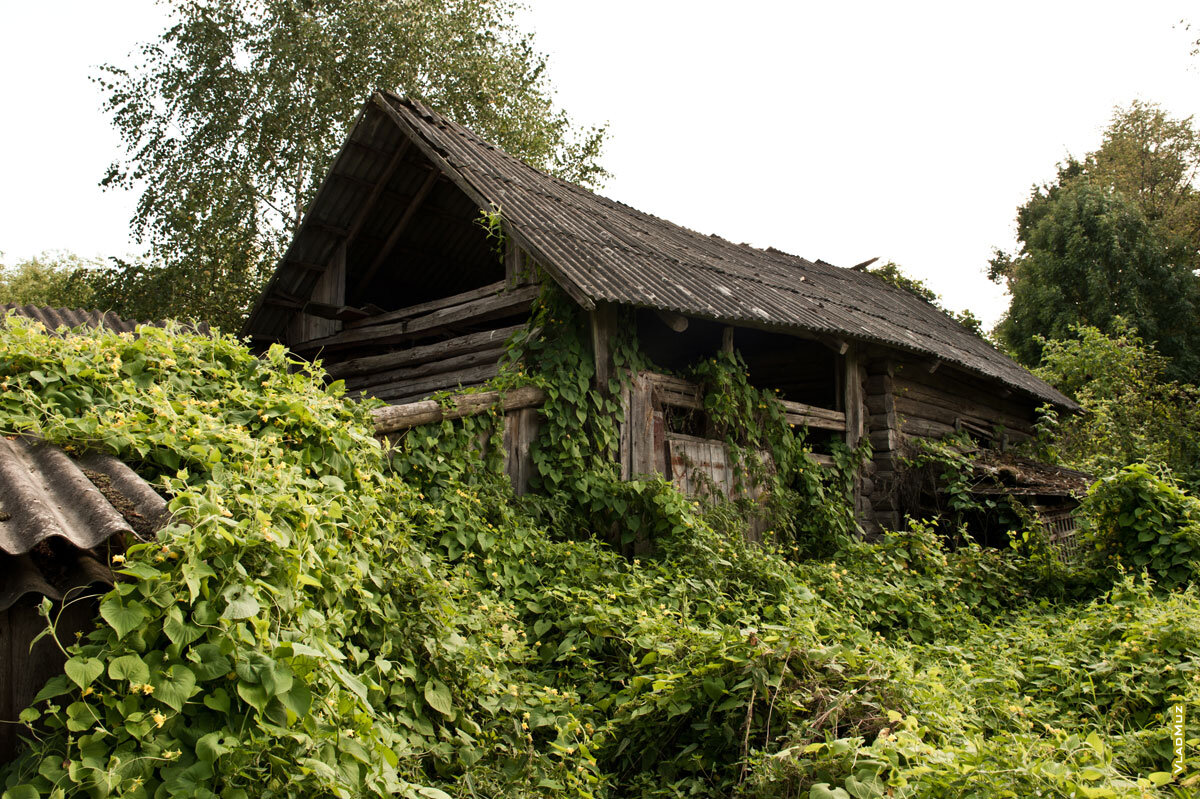                       Источник фото: Яндекс картинки.