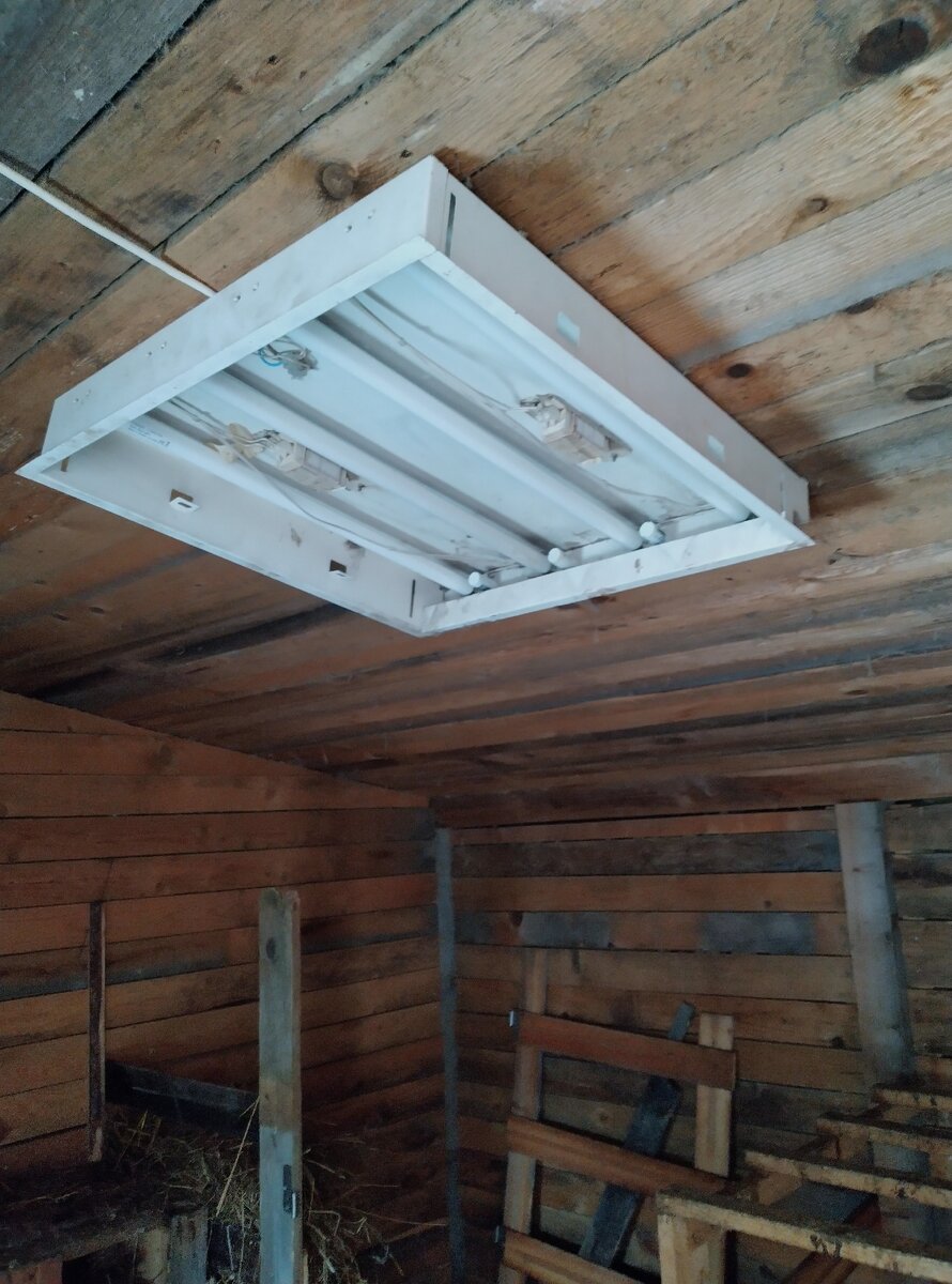 Лампа в курятнике