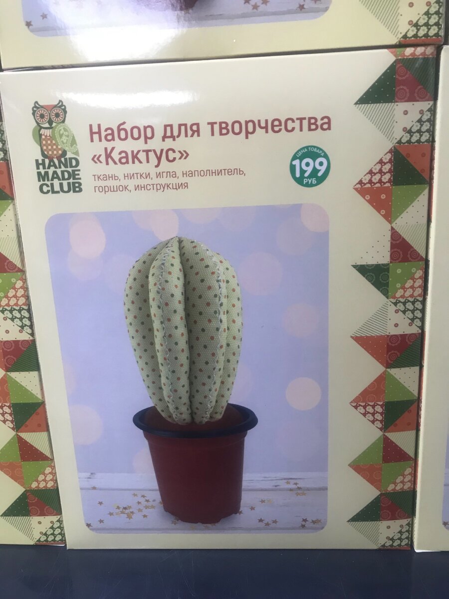 Купить «Кактус» из каталога Комнатные цветы и растения в Абакане