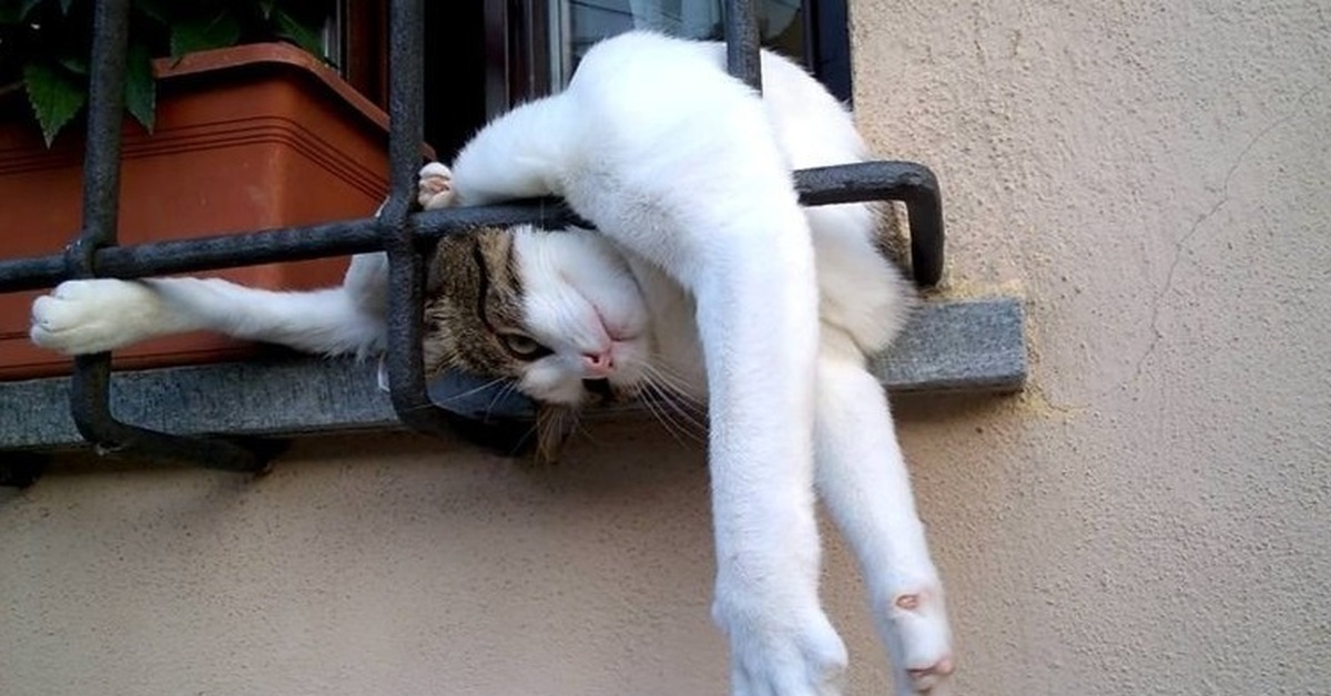 Фото из свободного доступа в Интернете