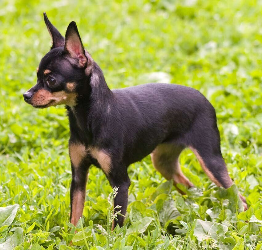 фото из открытых источников