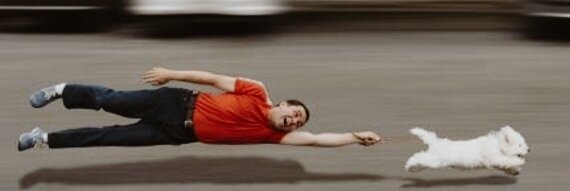 Примерно эту картину я наблюдаю каждый день.