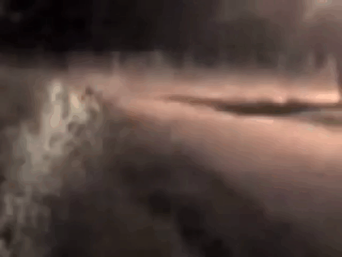 Кадры из видеозаписи со странным существом, названным "Аргентинский гоблин"