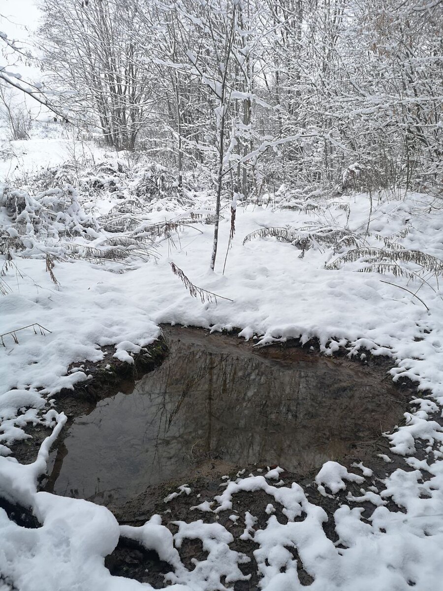 сердце в снегах