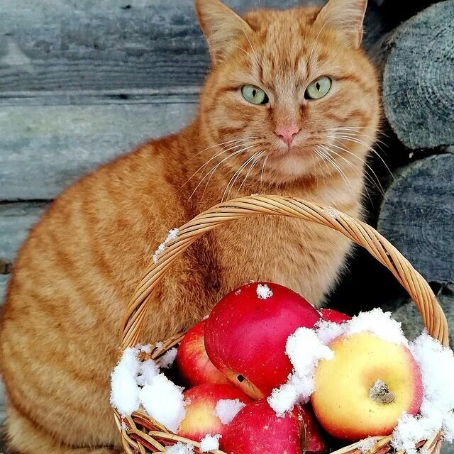 Источник: Яндекс картинки