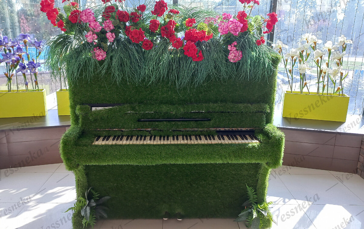 Фото автора