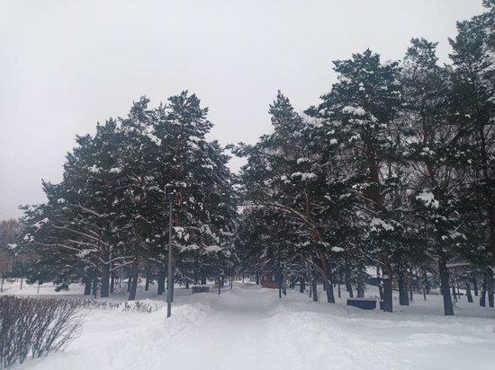     фото: МК в Туле