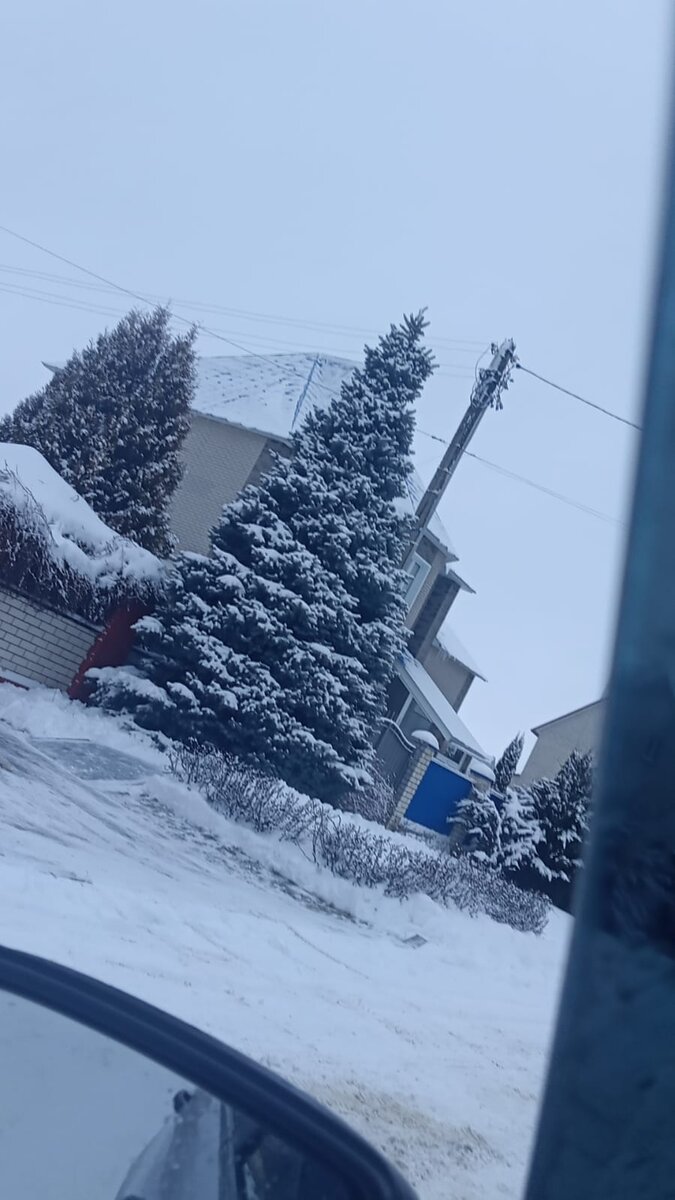 Муж скинул утром фотографию.Очень понравилась ему ёлка.