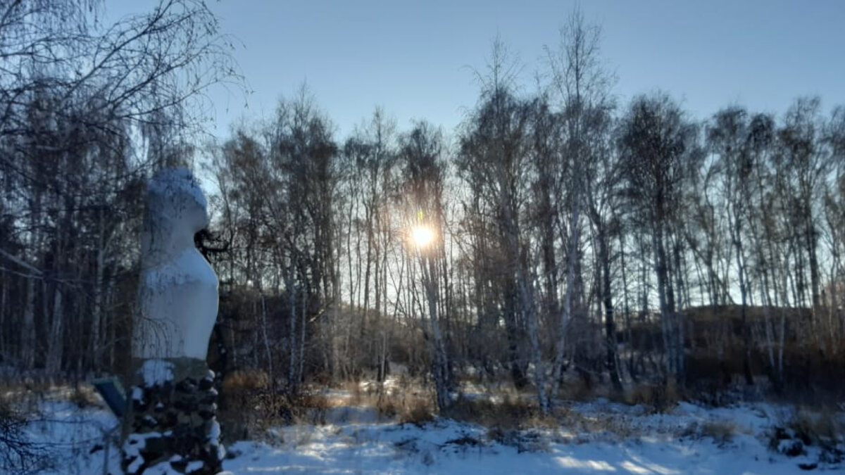 Зимний Аркаим.