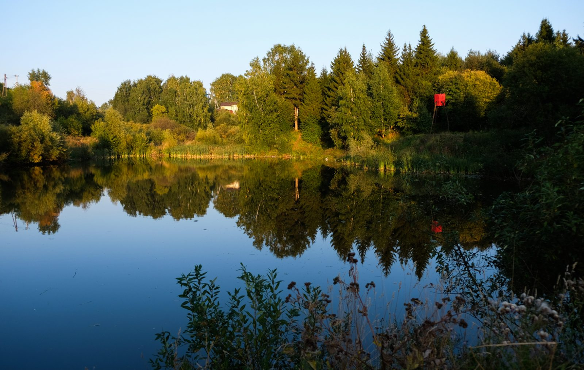 Источник: https://vsegda-pomnim.com/les/8694-andronovskij-les-perm-73-foto.html