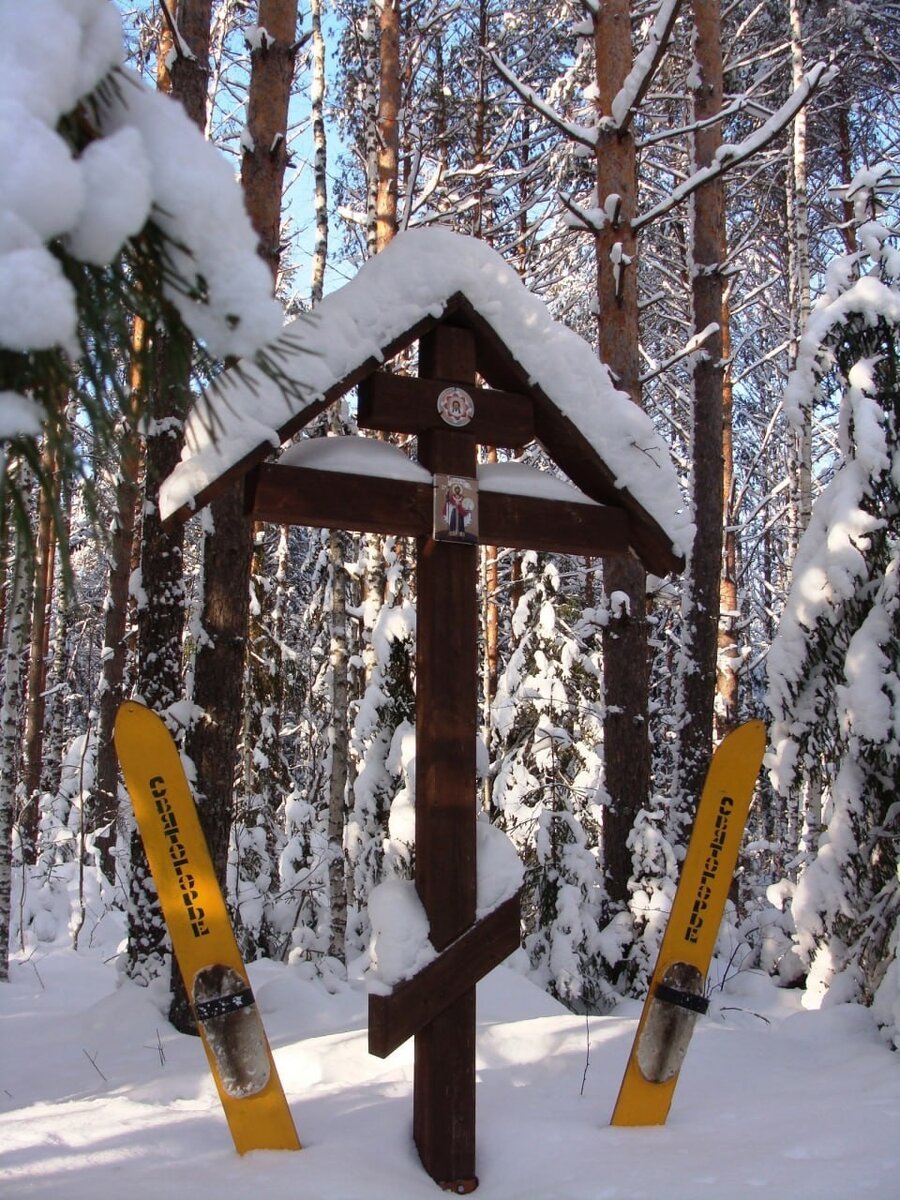     Фото: Денис Удалов в телеграме @udalov_mpr