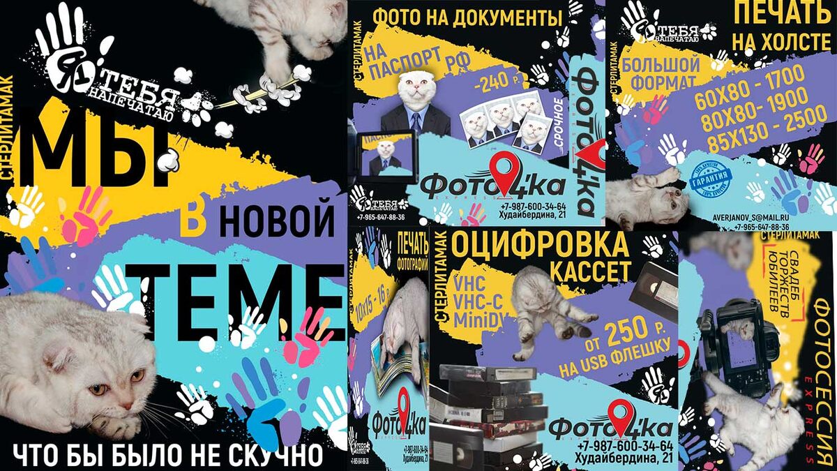 Это один и тот же кот, на всех рекламах нашей компании, Люций (для своих Люцифер). 