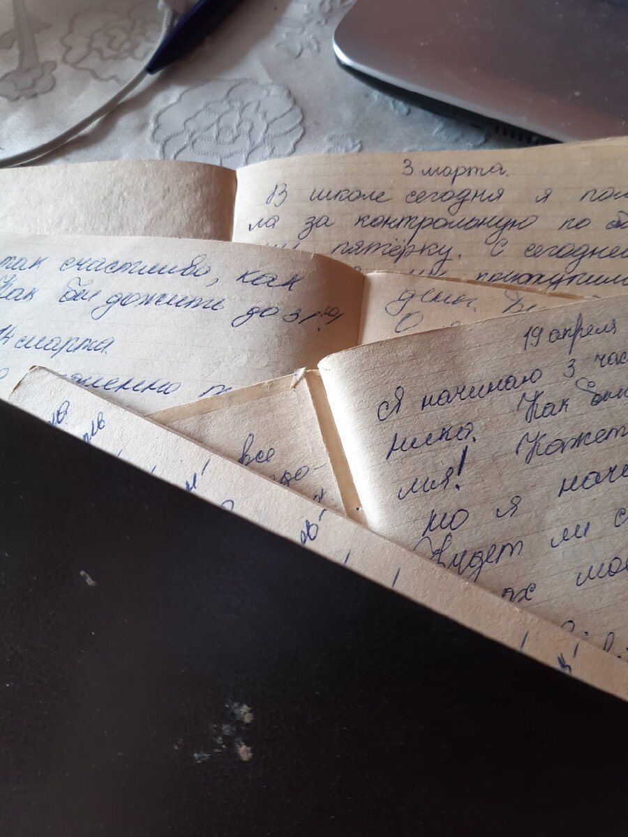 Мои дневники