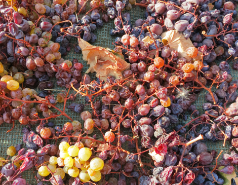 Виноград Xynisteri (белый) и Mavro (черный). Под воздействием солнца виноград высыхает и заизюмливается, что приводит к повышению концентрации сахара