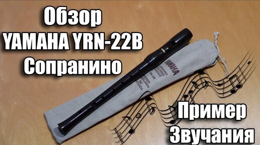 Обзор Yamaha YRN-22B in F Sopranino Recorder Сопранино Блокфлейта Ямаха строй Фа Пример звучания