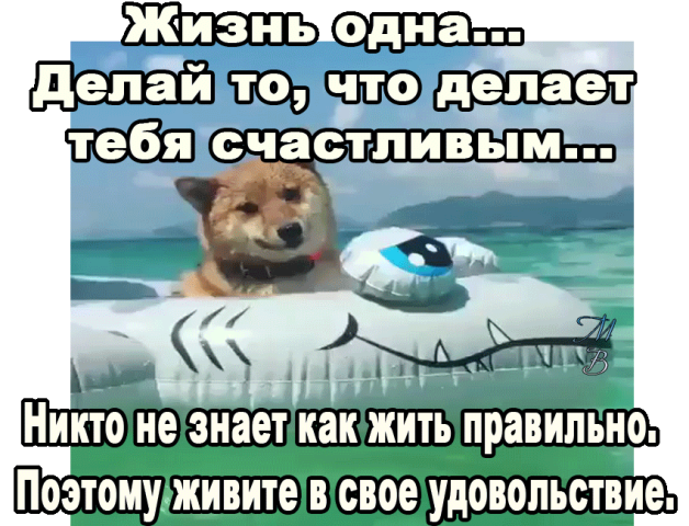 Прожить верно. Живете в свое удовольствие. Живите в своё удовольствие. Не знаете как жить успокойтесь никто не знает. Делай то что делает тебя счастливее