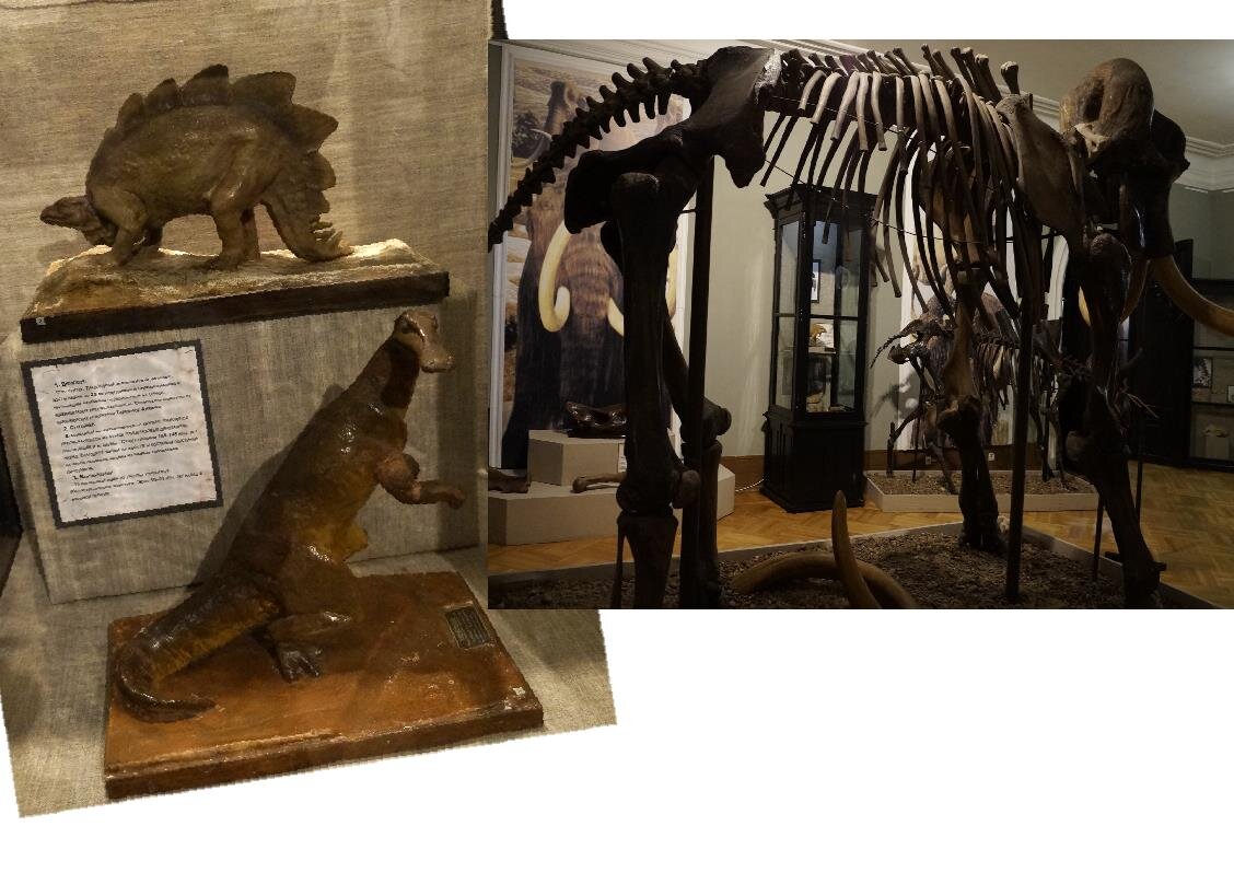 фото сделано автором в Тобольском губернском музее. Не знаю, на кого как, а на меня такие косточки не палеонтологический, а философский аркан накидывают:) 