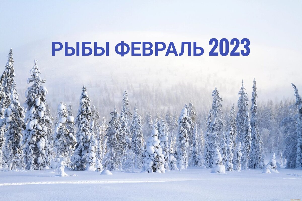 Февраль гороскоп. Телец февраль. Телец февраль. Луна в овне. Маркова телец февраль 2023 карты.