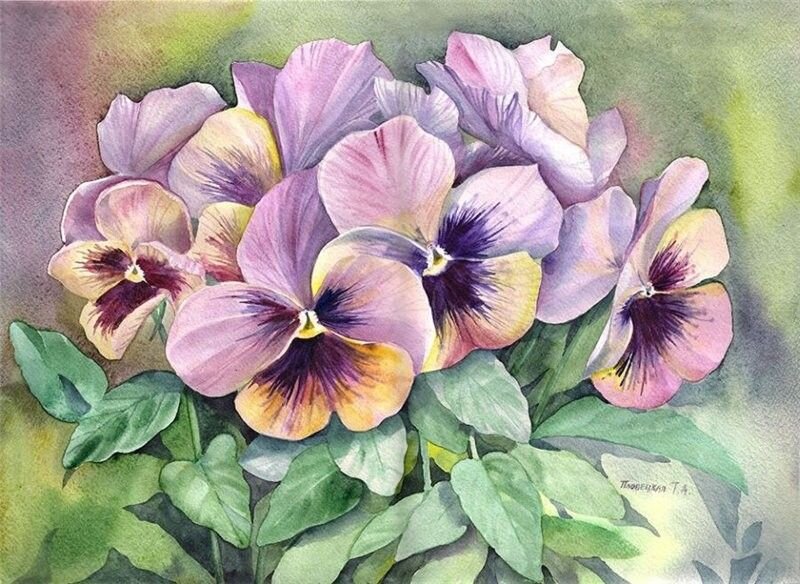                      родителям она понравилась...