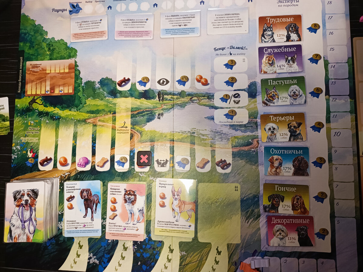 Общий вид игрового поля