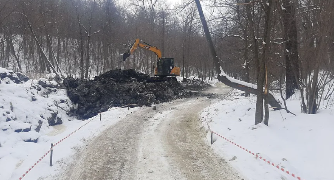    Фото: Дмитрий Тарасов
