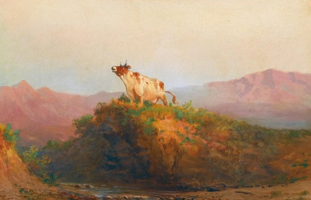 ������ ��������