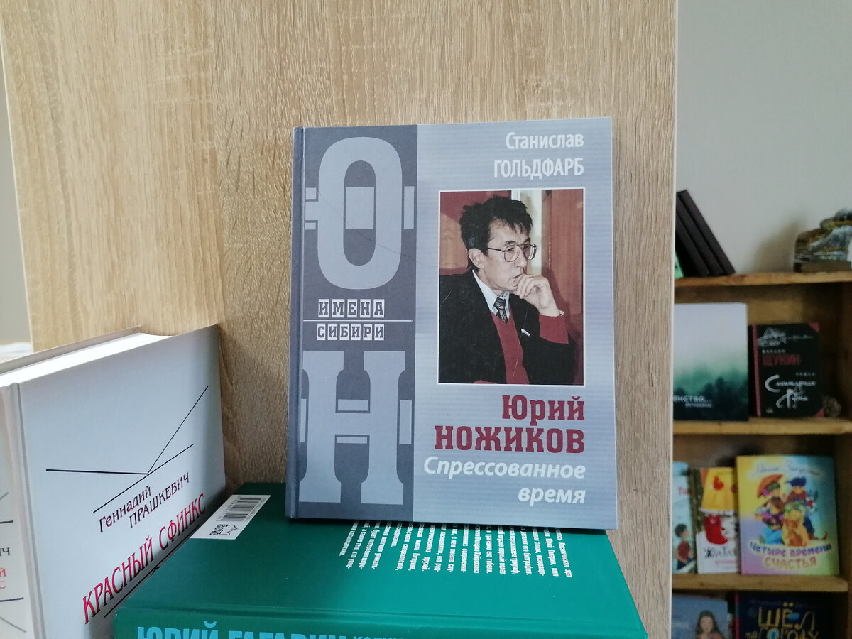 Станислав Гольдфарб в течение полутора лет был частым гостем в загородном доме Юрия Ножикова