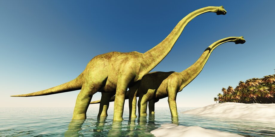 Фото: depositphotos/CoreyFord