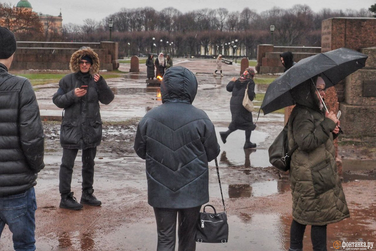   
 Фото: Михаил Огнев / «Фонтанка.ру»