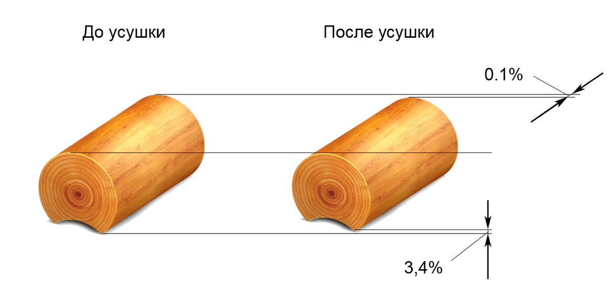 Текстура это влажность древесины рисунок древесины плотность древесины